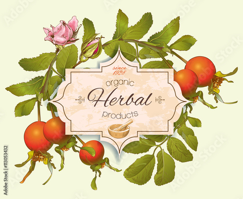 Vintage rosehip banner.
