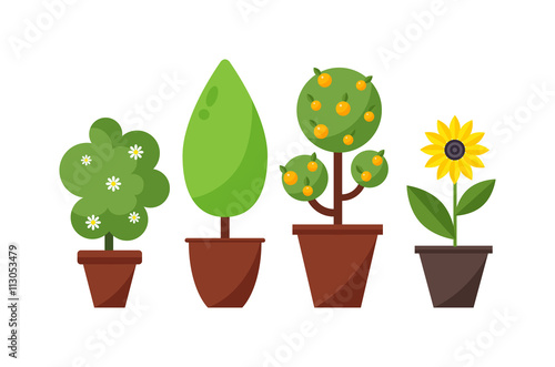 Home plant and tree vector illustration.