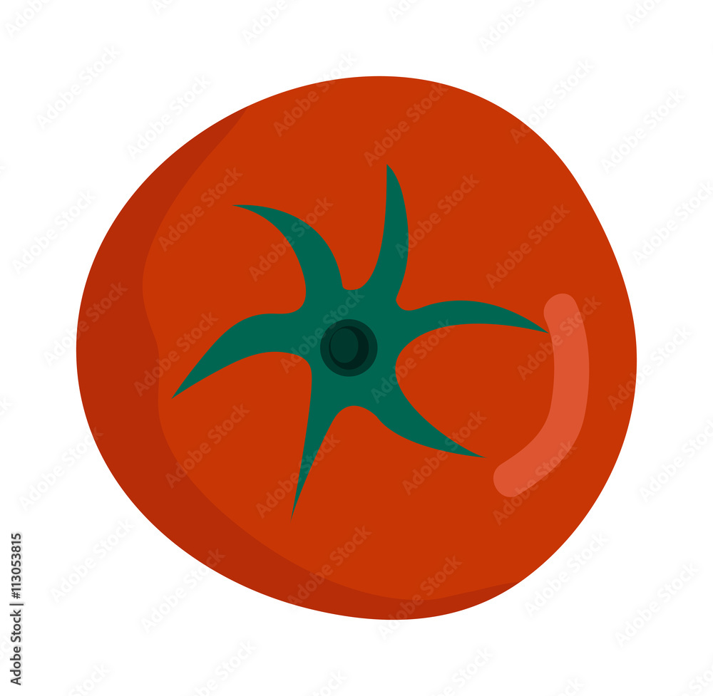 Tomato isolated vector illustration.