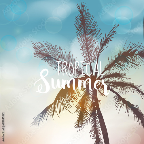Tropical Background. Palm Leaves. Palms Background. Vector Background