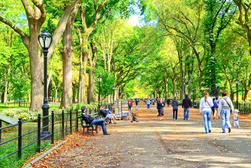 Canvas schilderij Central Park Levendige sfeer in Central Park  © Javen