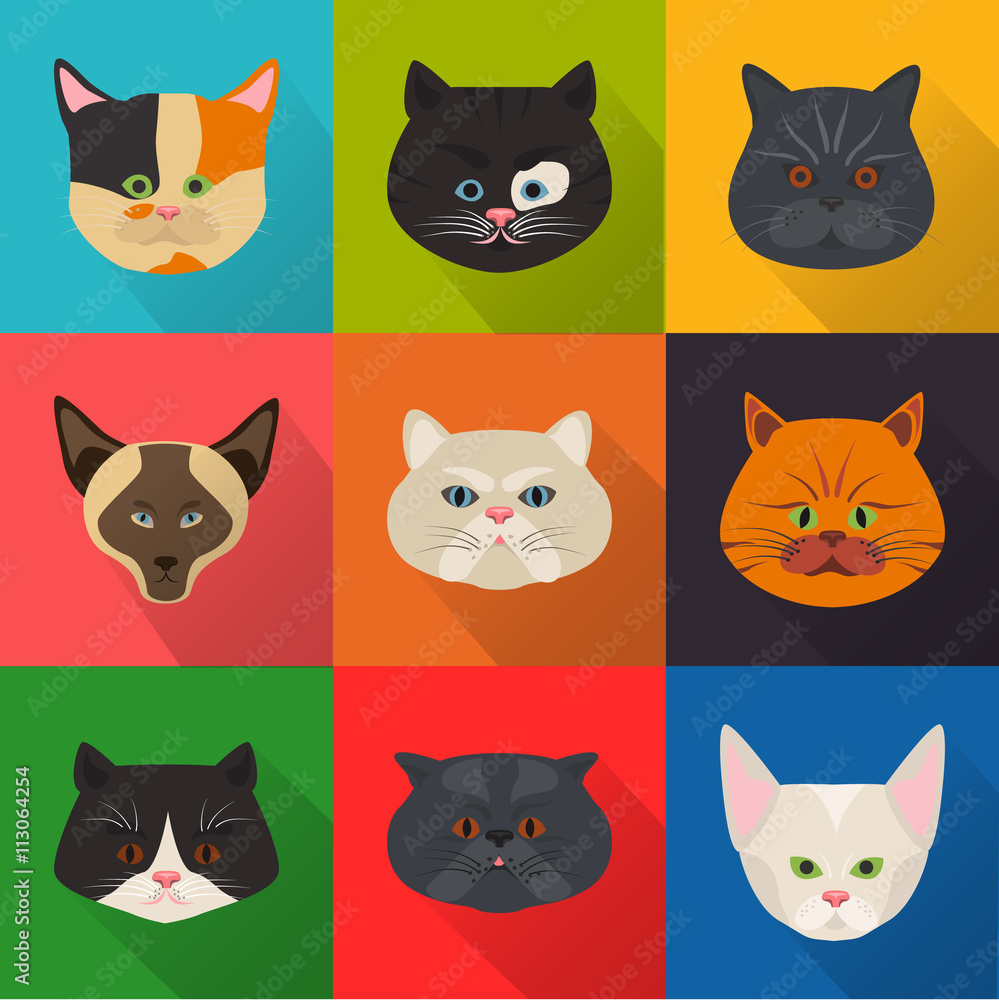 Cats color flat set icon