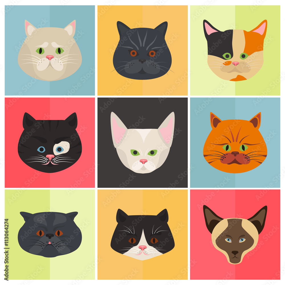 Cats color flat set icon Cats color flat set icon