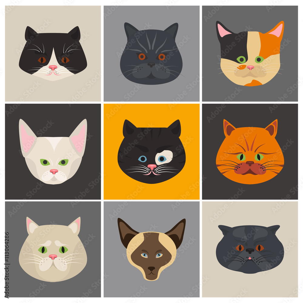 Cats color flat set icon Cats color flat set icon