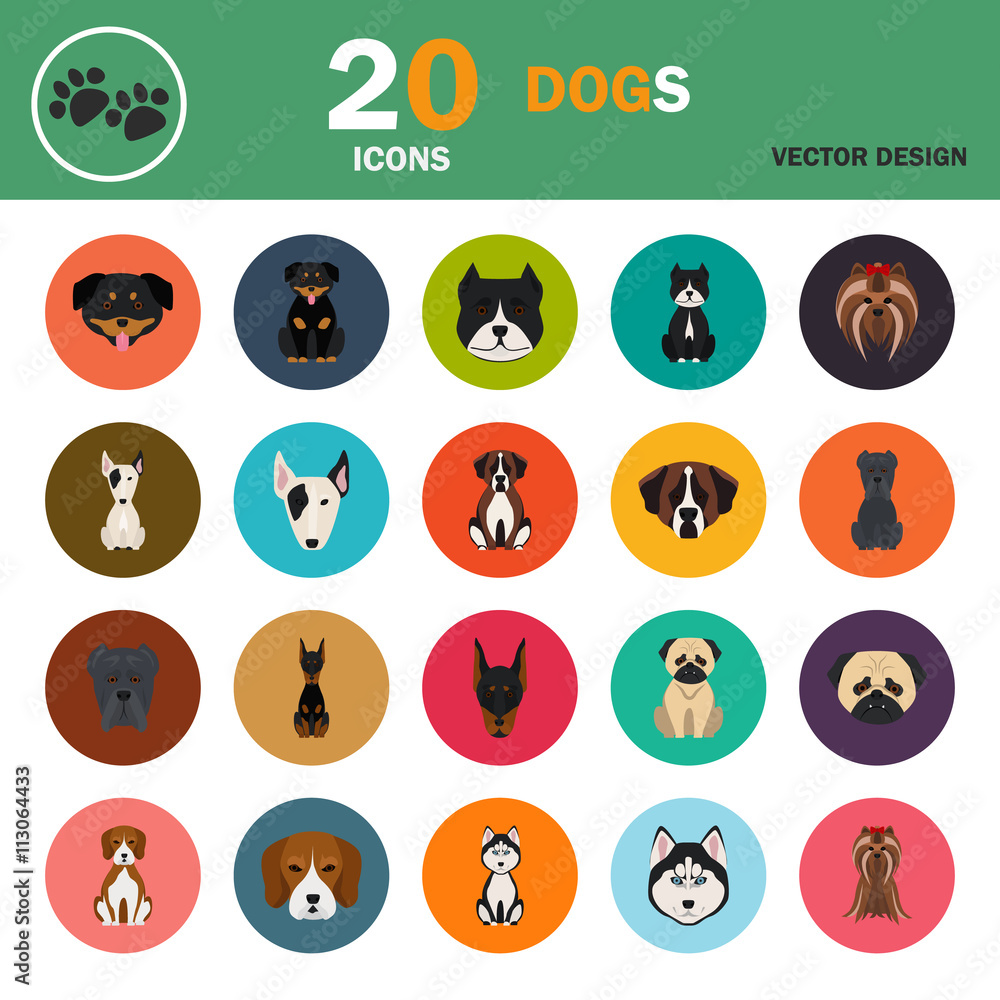 Dogs color flat set icon Dogs color flat set icon