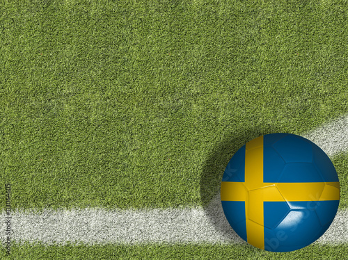 Sweden Ball in a Soccer Field