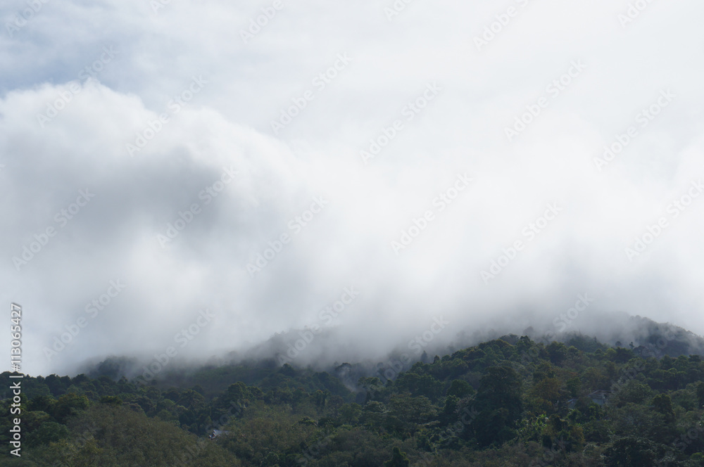 Clouds on mountains