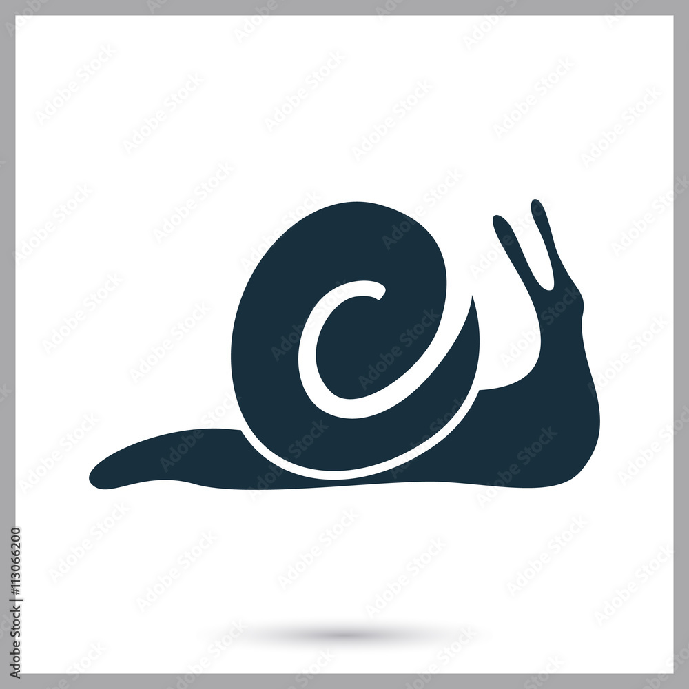 Snail icon on the background Snail icon on the background