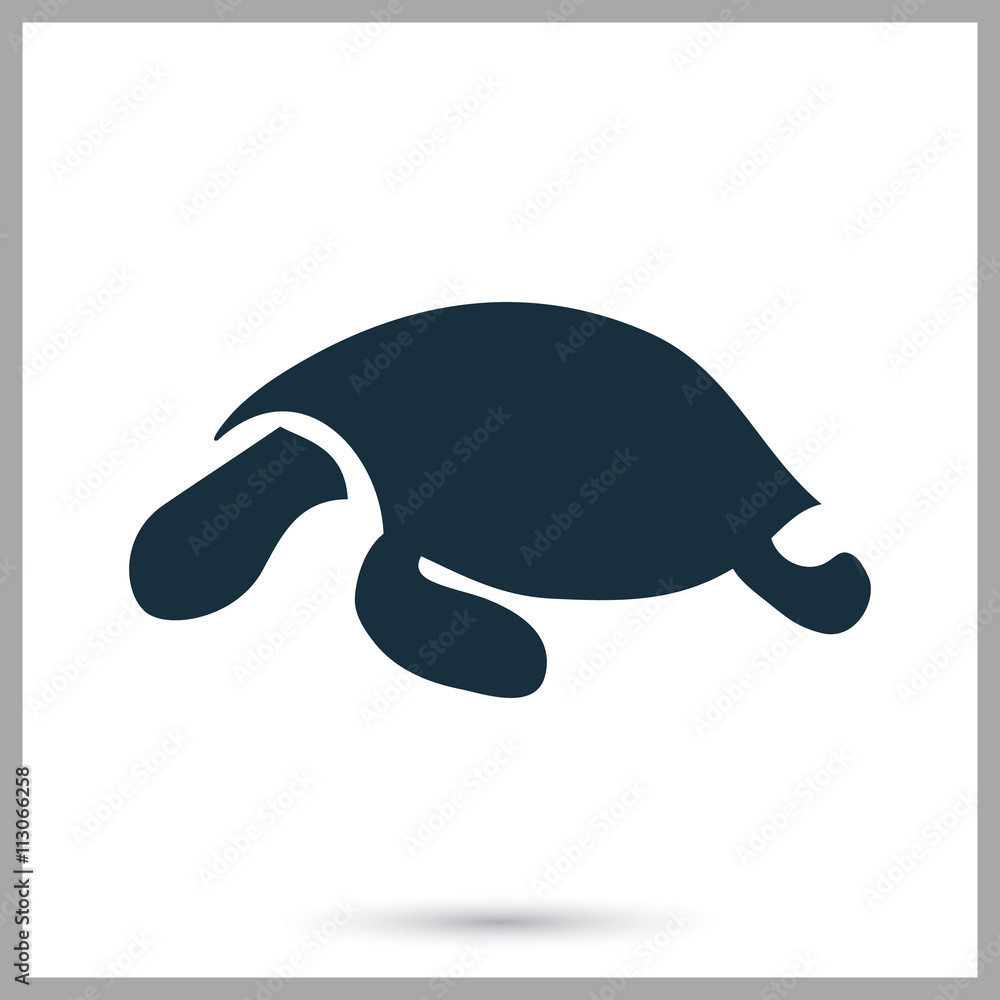 Turtle icon on the background
