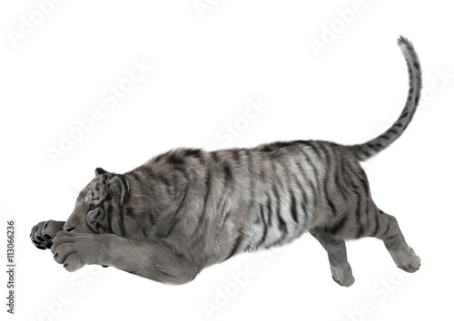 Fototapeta Naklejka Na Ścianę i Meble -  3D Rendering White Tiger on White