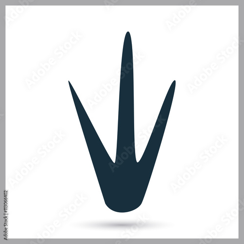 Kiwi paw print icon on the background