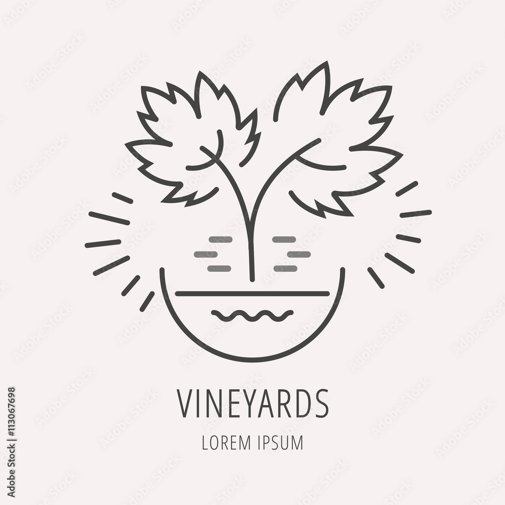 Vector Simple Logo Template Plant Grapes Vector Simple Logo Template Plant Grapes