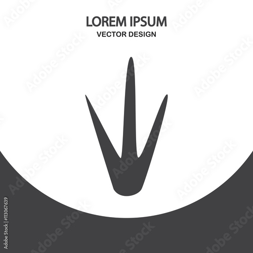 Kiwi paw print icon on the background