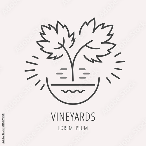Vector Simple Logo Template Plant Grapes