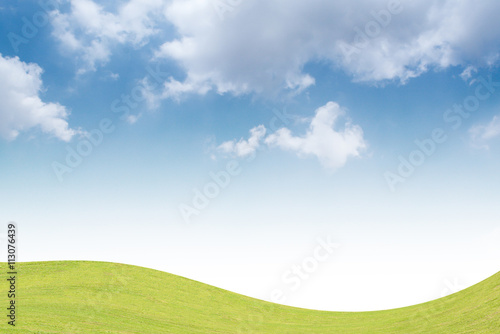 Background green grass and blue sky