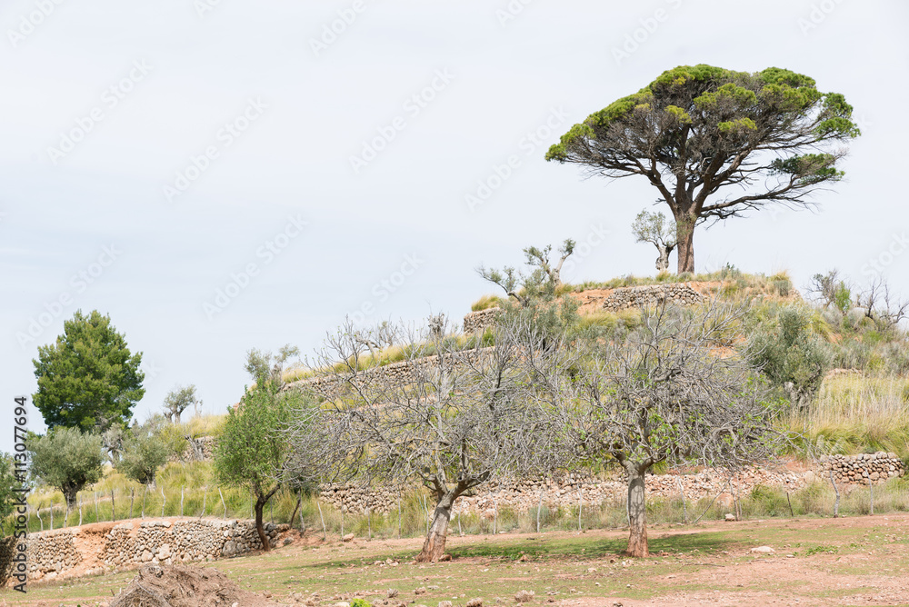 Fototapeta premium Hiking Mallorca GR221