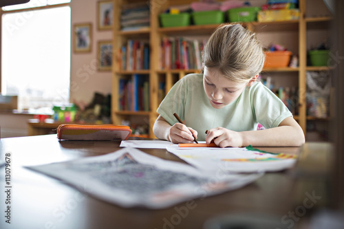 Girl doing her homework at home photo