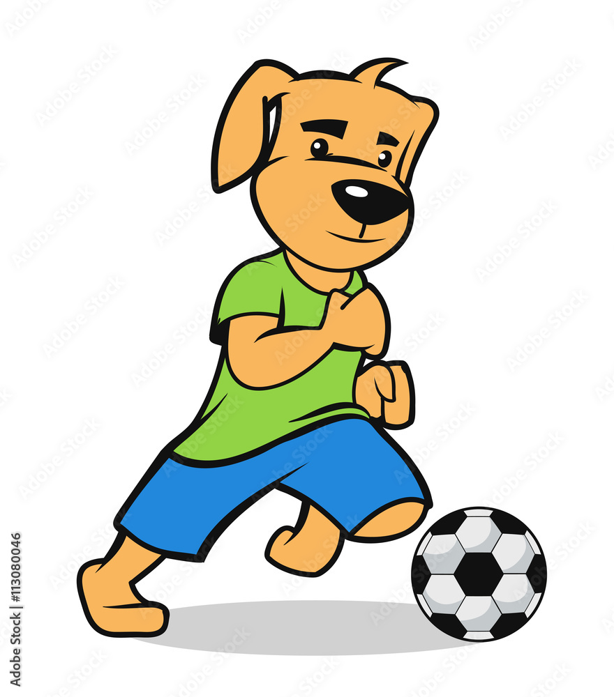 puppy participate on a soccer game puppy participate on a soccer game