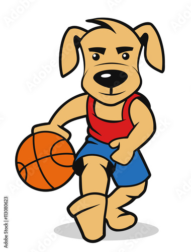 dog playing basketball photo