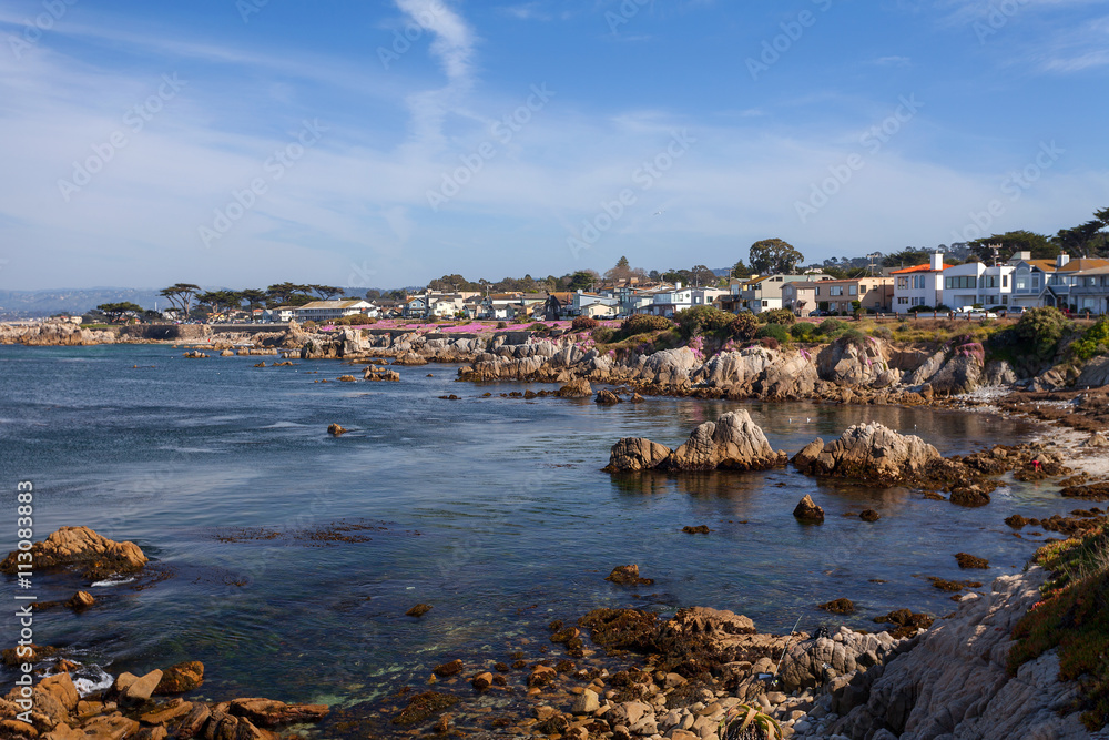 Pacific Ocean - Monterey, California, USA 