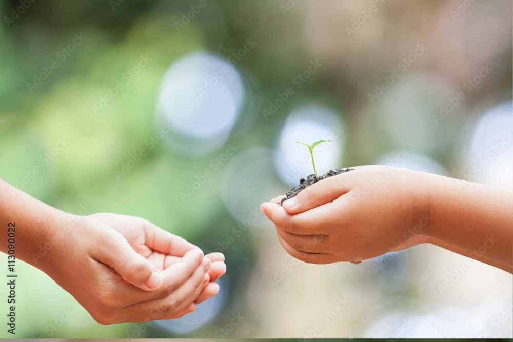 child hands holding soil with sprout