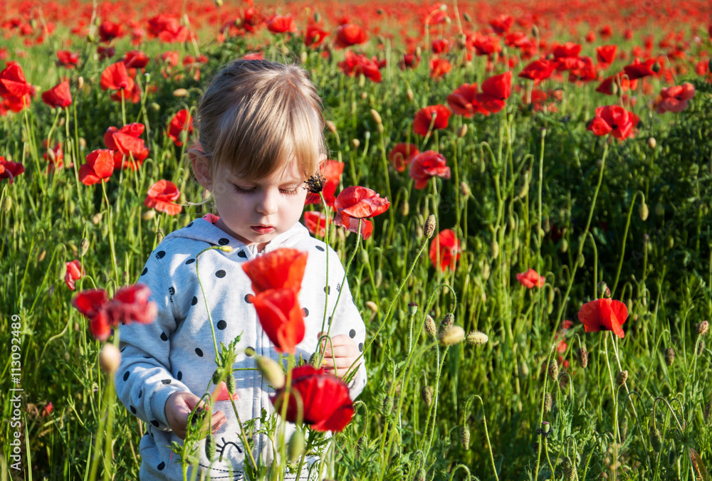 child girl in poppy field child girl in poppy field