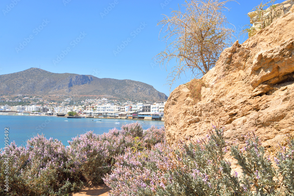 Flowering bushes on the coast of Cretan Sea.