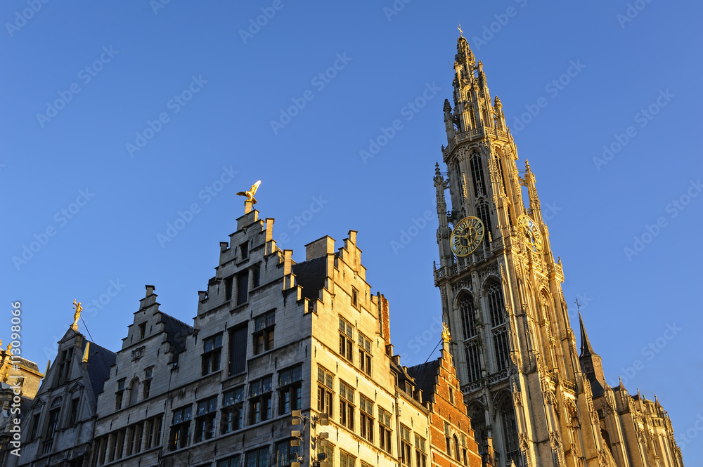 Cathedral and buildings with golden figures on the roofs in the center of Antwerp, Belgium