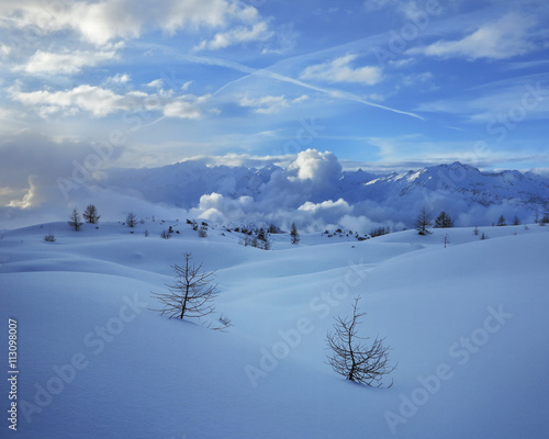 Two winter lonely snowy fir trees on mountainside blue sky background