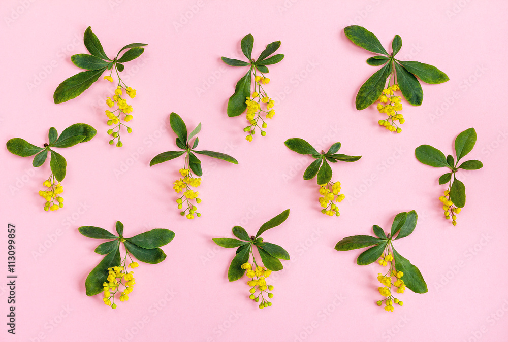 Floral pattern. Yellow flowers on a pink background. Top view.