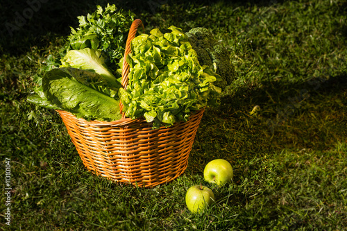 Basket of green vegetables over nature background photo