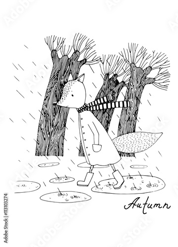 Sad fox walking in the rain.