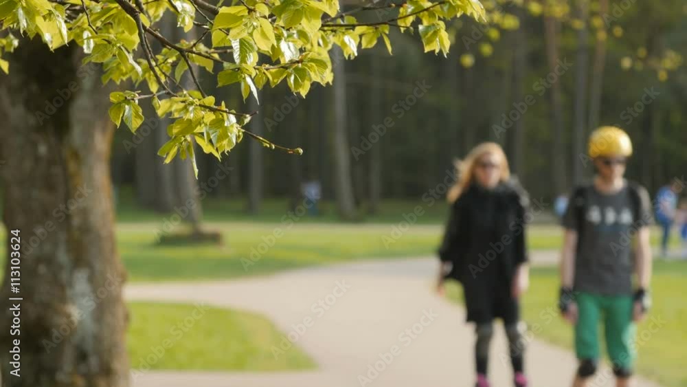 Blurred background of people activities in park with bokeh, spring and summer season. Skaters Blurred background of people activities in park with bokeh, spring and summer season. Skaters