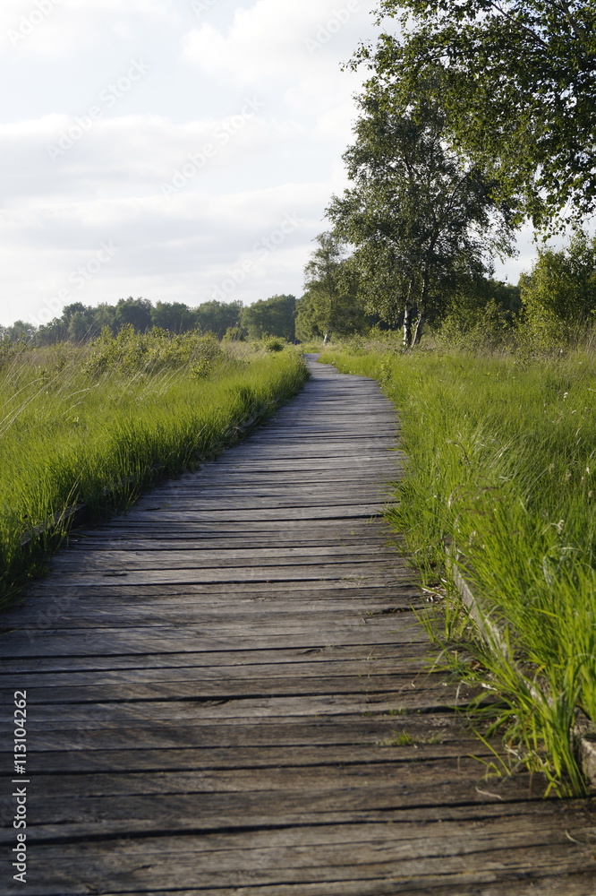 Holzbohlenweg im Moor 