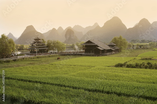 Rice fields, Yangshuo, Guangxu Province, China photo