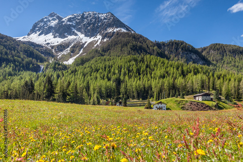 Sommerwiese in Kasern im Hinteren Ahrntal © cmfotoworks