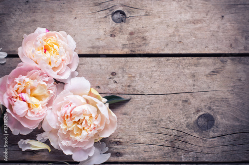 Tender pink peonies flowers on aged wooden background. Flat lay.