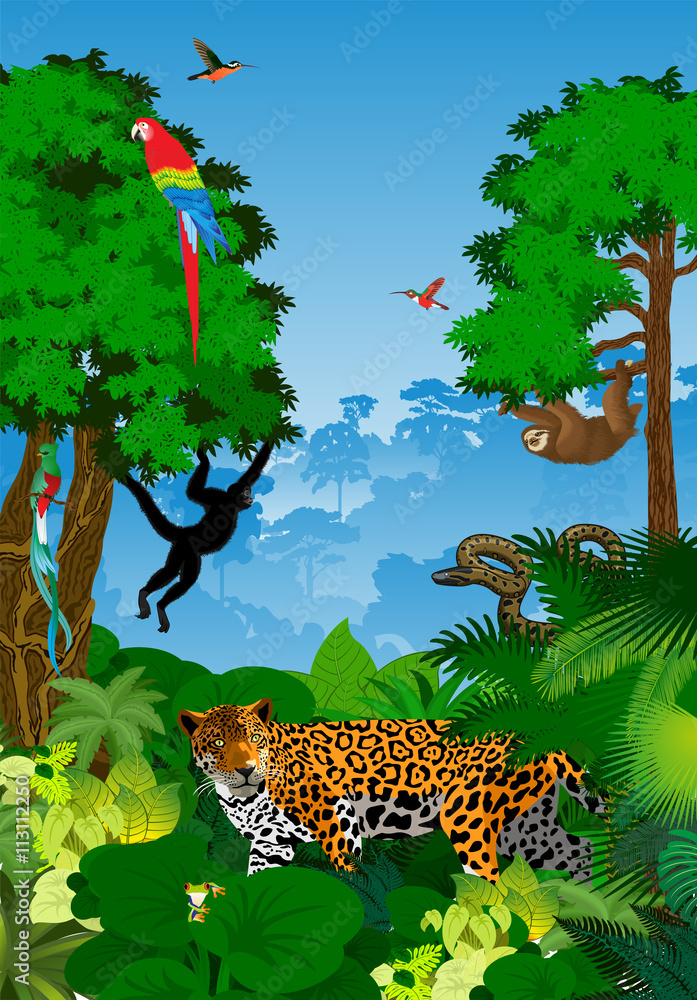 Vector Tropical Rainforest Jungle with animals Stock Vector | Adobe Stock