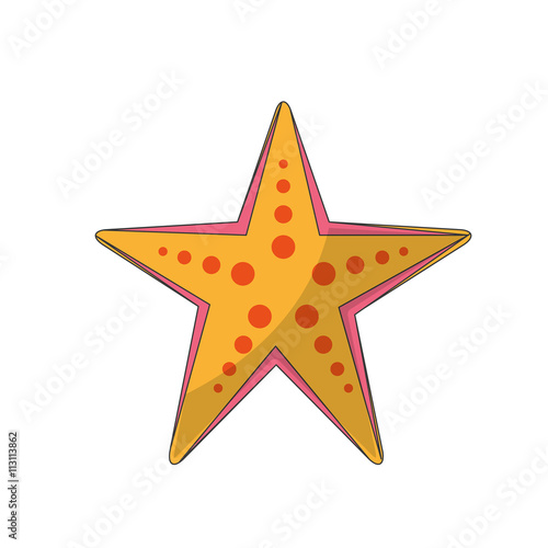starfish isolated design 