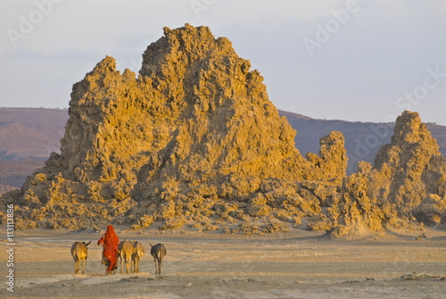 Bedouin bringing their donkeys home in the stunning landscape of Lac Abbe, Djibouti photo