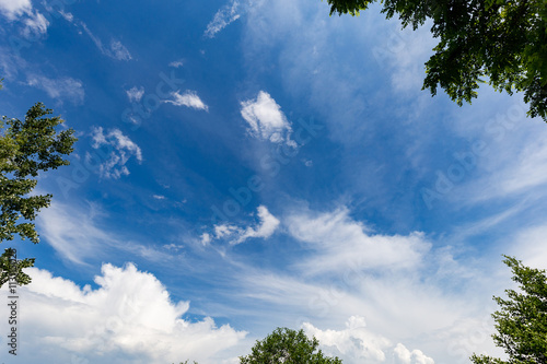 Blue sky with white clouds framed by trees © radu79