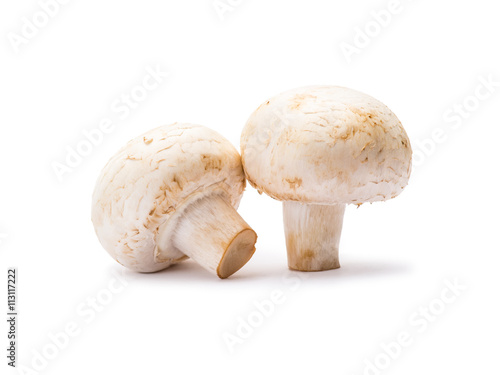 Champignon Mushrooms Isolated on White