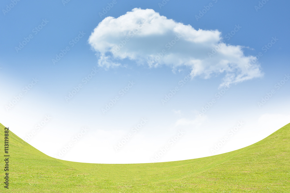 Background green grass and blue sky Background green grass and blue sky