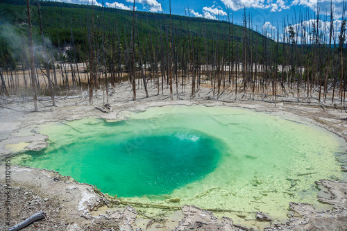 Green Cistern Spring In The Norris Geyser Basin at Yellowstone National Park, Wyoming, USA