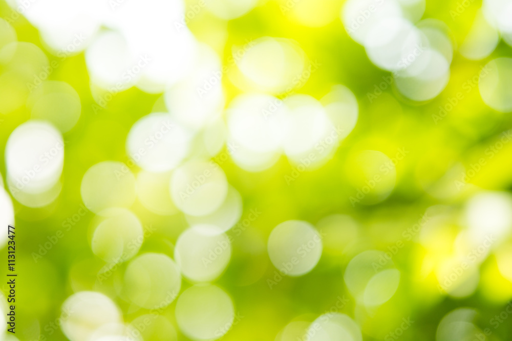 Obraz premium natural green background with selective focus