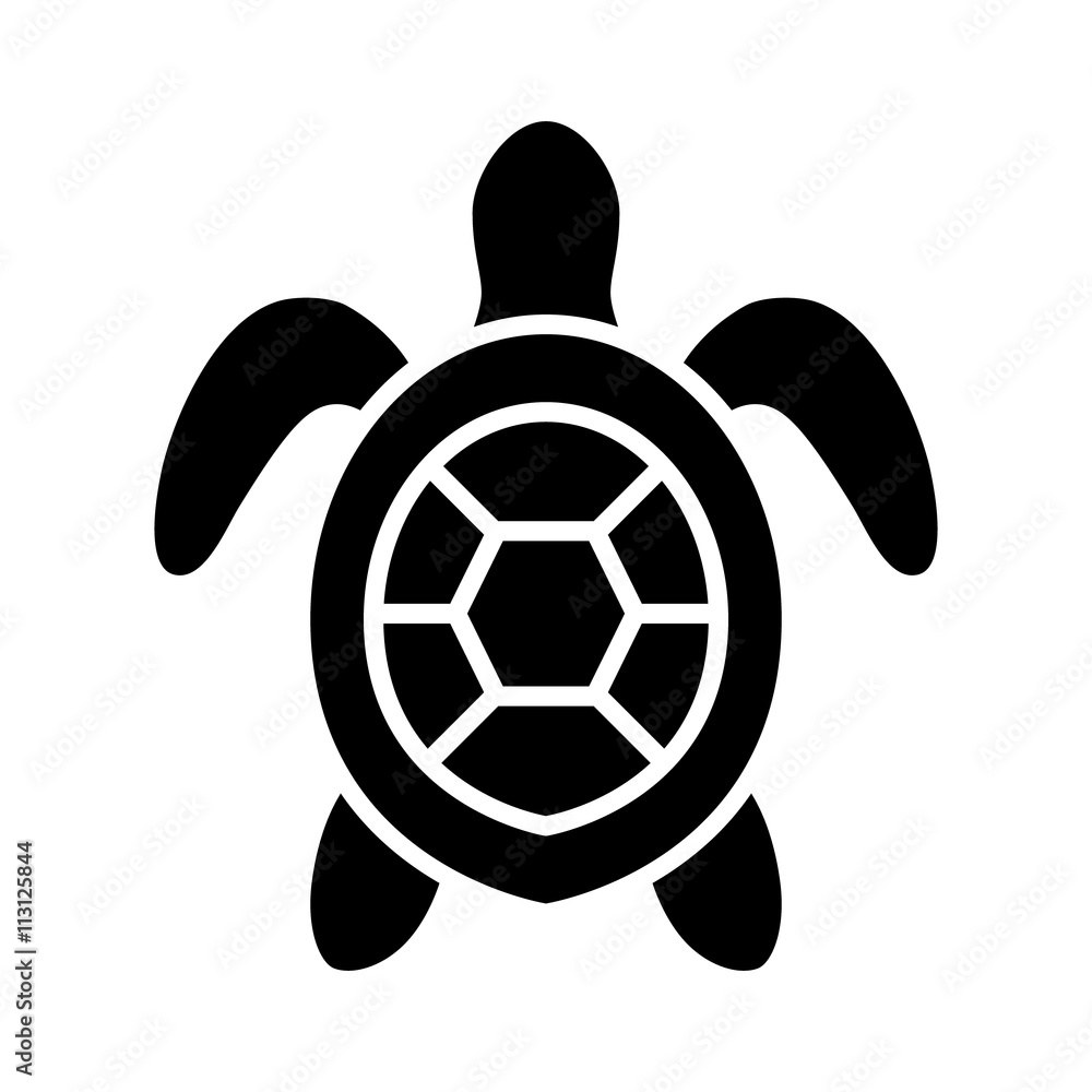 Fototapeta premium Sea turtle / marine turtle top view flat icon for nature apps and websites