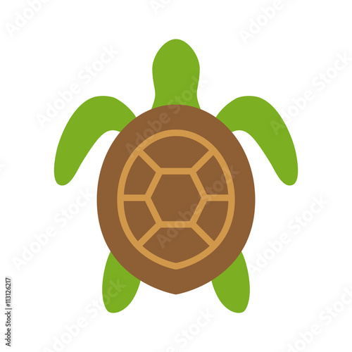 Sea turtle / marine turtle top view flat color icon for nature apps and websites