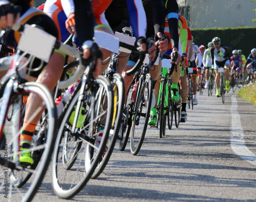 Fototapeta premium race bike and professional cyclists during the cycling race