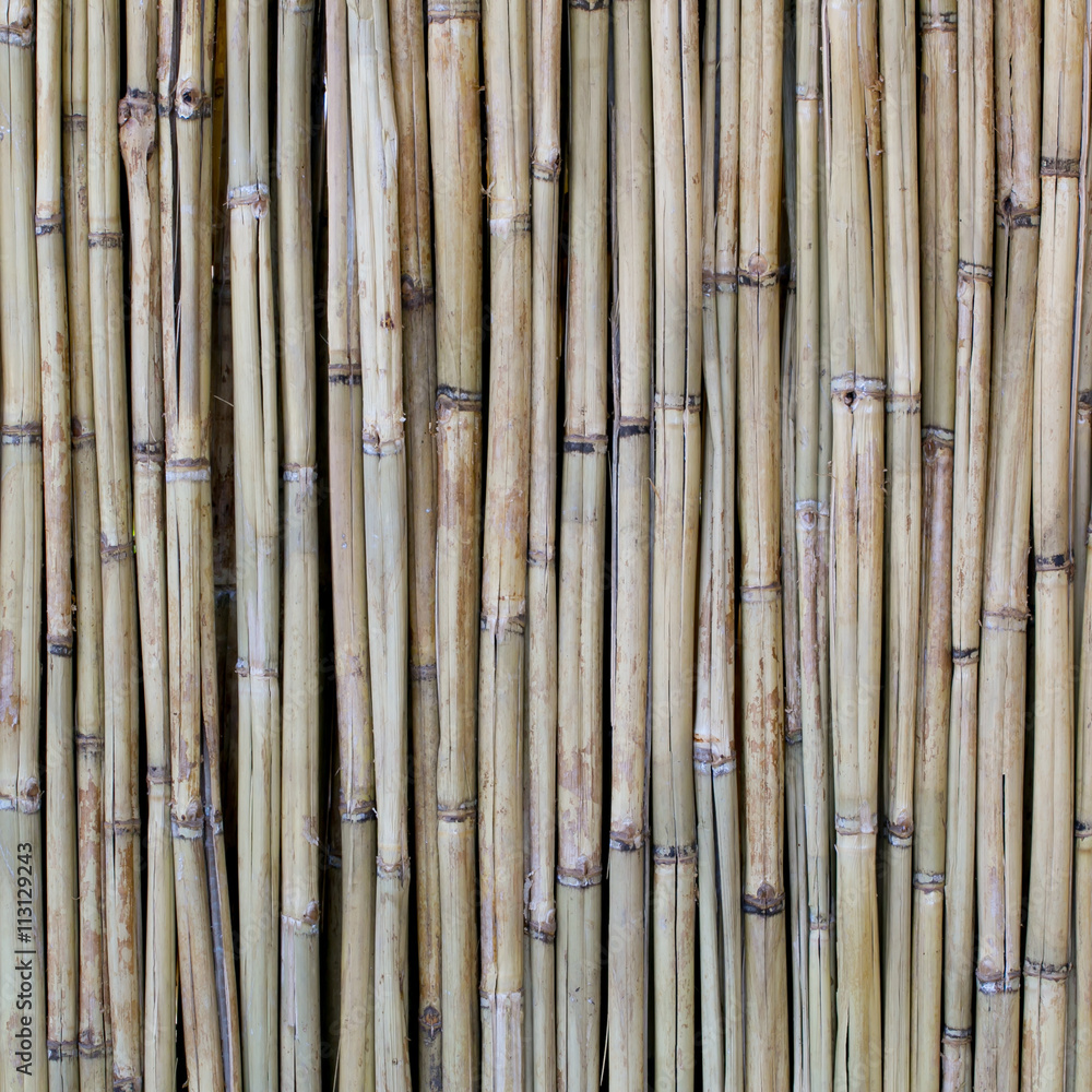 Fototapeta premium Bamboo wood texture