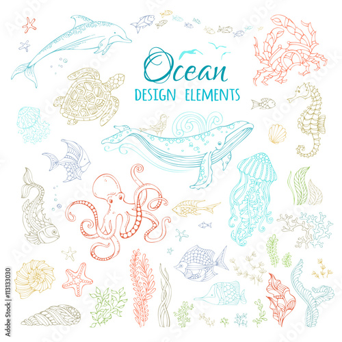 Vector set of ocean animals and plants.